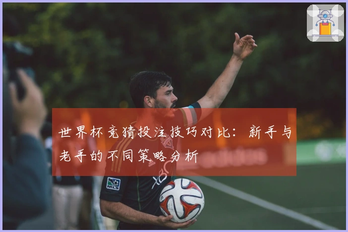 世界杯竞猜投注技巧对比：新手与老手的不同策略分析