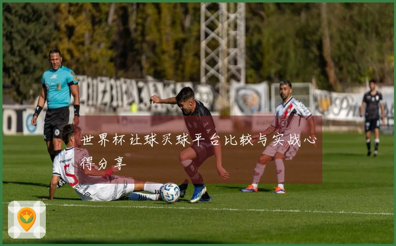 世界杯让球买球平台比较与实战心得分享