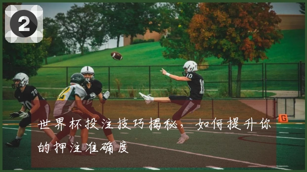世界杯投注技巧揭秘，如何提升你的押注准确度